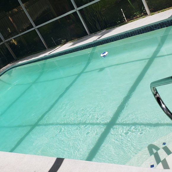 Meet your Posher, Napoleon - Picture 3 of 3